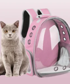 Kitten Carrying Bag